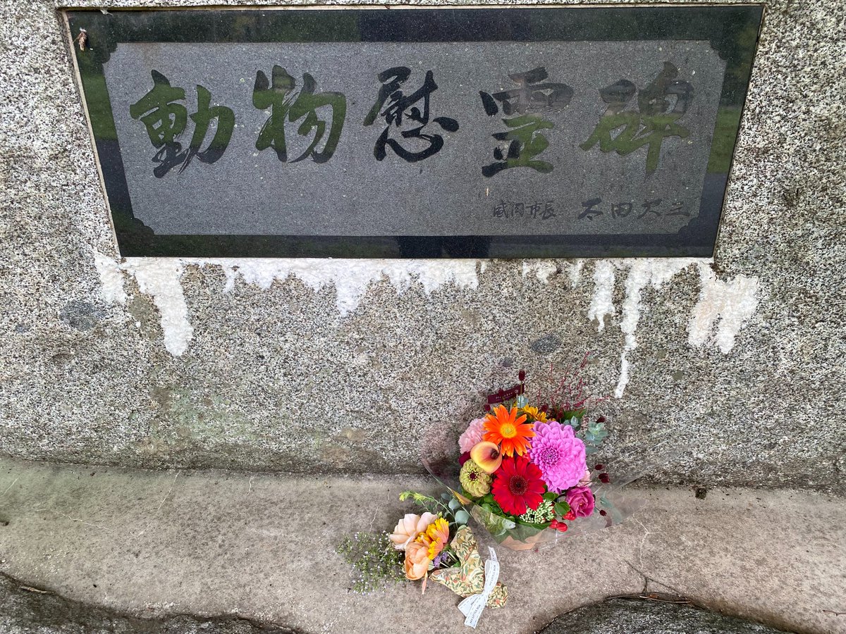 moriokazoo tweet picture