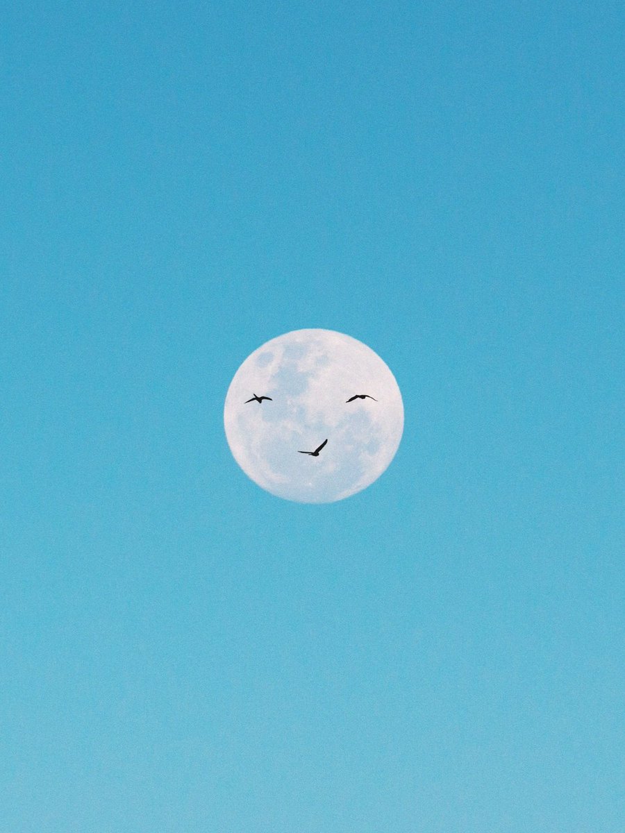 matialonsor's tweet photo. Le saqué una foto a la luna https://t.co/IGI4hc9GZ1