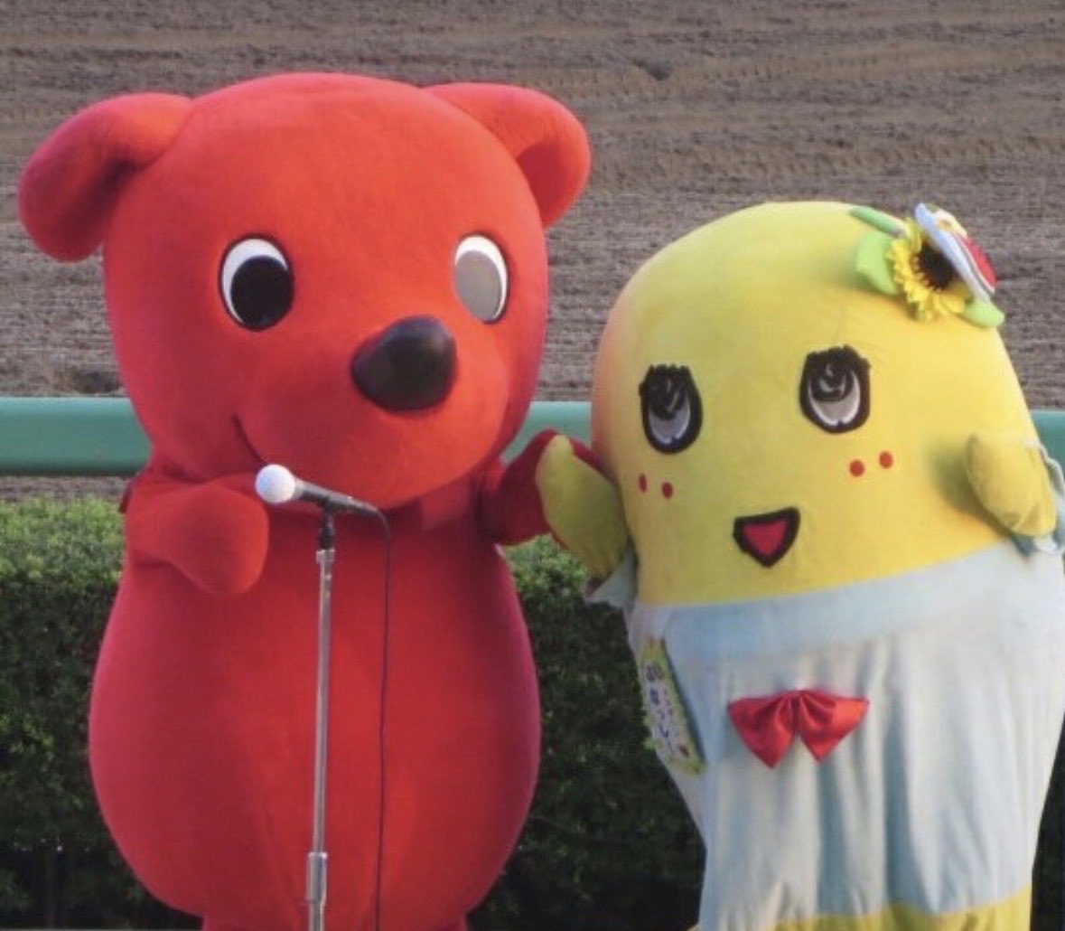 MiharuMay3rd's tweet photo. @chi_bakun_chiba ⭐️チーバくん がんばれ〜😄

チーバくんは
千葉県民の誇りです

千葉県民の1人より
2014年　船橋競馬場　ふなっしーと https://t.co/OXdc6nfibL