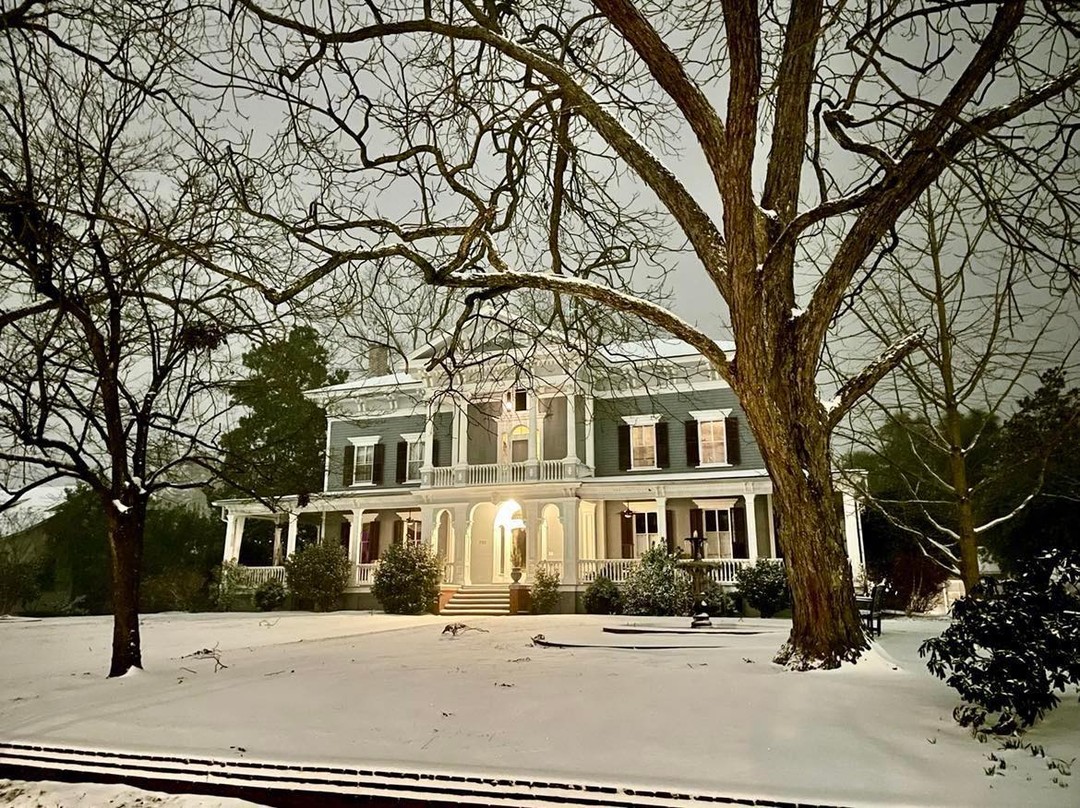 _rafamartins's tweet photo. Good morning from the icy south! We don’t get a lot of snow, but when we do everything thing is sparking beautiful for a few hours. #snowinthesouth #obligatorysnowpic #realbedandbreakfast #bedandbreakfast #bnb #smalltown Visit North Carolina https://t.co/E2BPlixvYQ