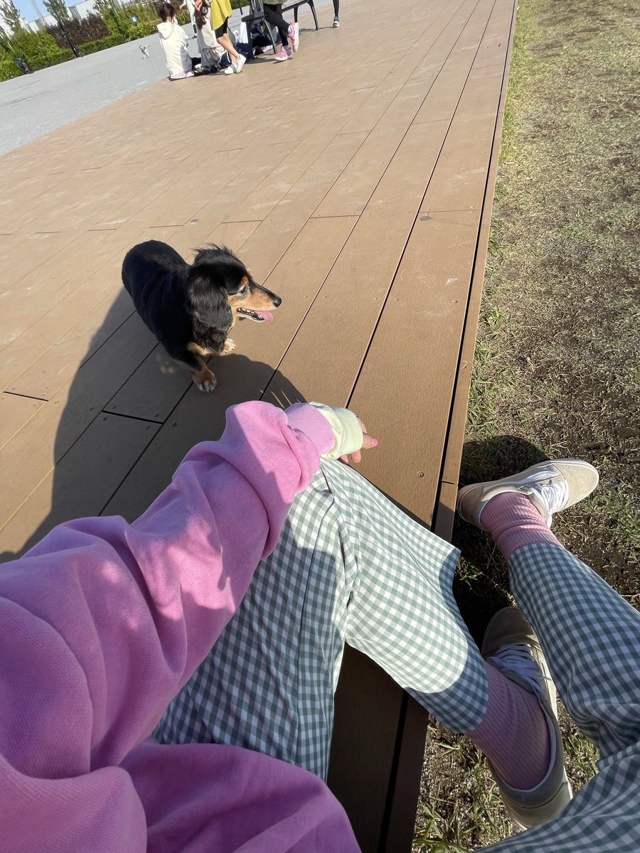 harami622's tweet photo. 旅してて思ったけど私の旅の発信って誰にも役立たないww
旅行で絶対節約貧乏旅したくないし、
かと言って超豪華で大金持ちでもない。

バックパックで世界一周もしてないし、する気もないのに、今クロアチアから無計画にふらふら漂ってたら世界一周してるの?とDMが来るんだけど帰りたくなったら帰るし、続けて世界一周できる人じゃない😅なのに、ずっと移動してるw

計画的に行動してるわけじゃないから役立ちもしないしタクシーもガンガン乗るし、かと思いきやキックボードレンタルもする。

別にその国の全てを観光したいってわけでもないし、ホテルから一歩も出ずにゴロゴロしてホテル内のジムに行くしかしない日もある。その国の郷土料理を食べるわけでもない。
いきなりミシュランレストランに行く日もあれば、次の日にはどっかの国で自炊してる。
有名なお店にもあまり興味がないが行ってみることもあるし、突然どっかの国のネイルサロンとかに行ったりもする。

お土産にはもっと興味がないw
おしゃれは好きだけど旅してる時、洋服ほとんど同じの洗濯して着てるから映えないし。荷物少ないけどバックパックではない。w

仕事しながら短期間で弾丸行く人でもないし
こんなん誰が見るんだよってくらい、中途半端で全く役立たない自己満SNS🌏😂😂

なのに、フォローしてくれてる方々ありがとう！！w