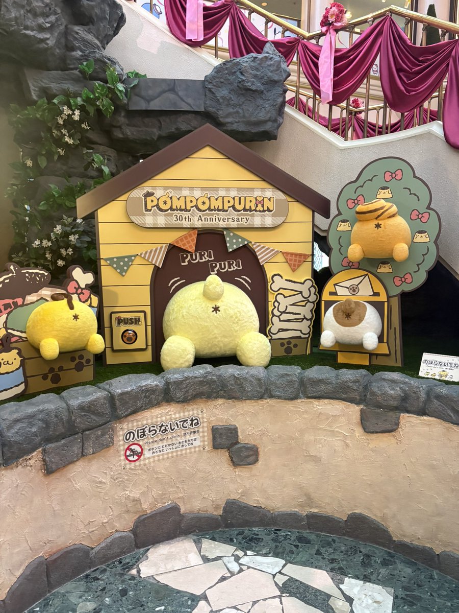 nini__1124's tweet photo. お誕生日お祝いしてもらってきた( •ᴗ• ) https://t.co/WA1uui7gzc