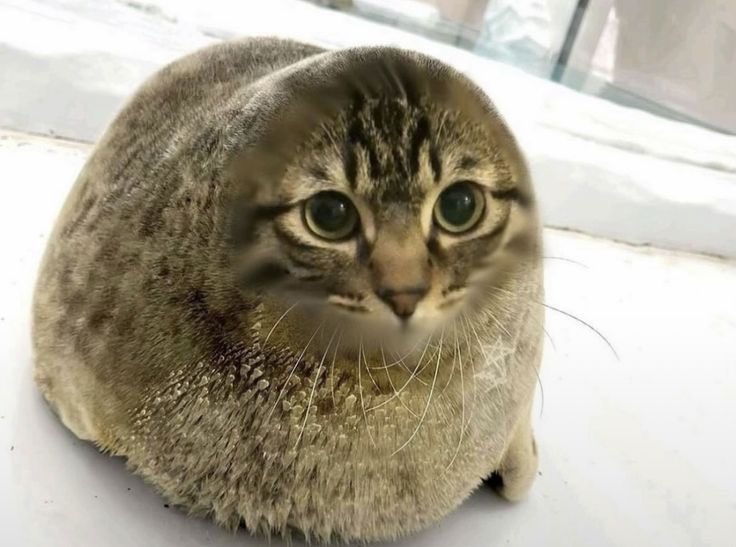 pepsi2emii's tweet photo. How it feels having to miss out on watching surface tensions session of the century because of W*RK #letmeout

#surfacetension https://t.co/v1FXcw3rWO