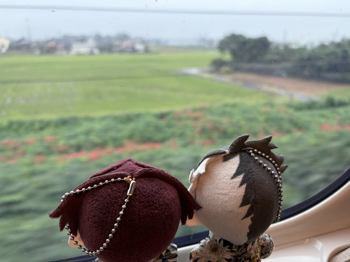 razeru12's tweet photo. 旅に出ます
彼岸花がたくさん咲いてるね https://t.co/XTdJmo4q86