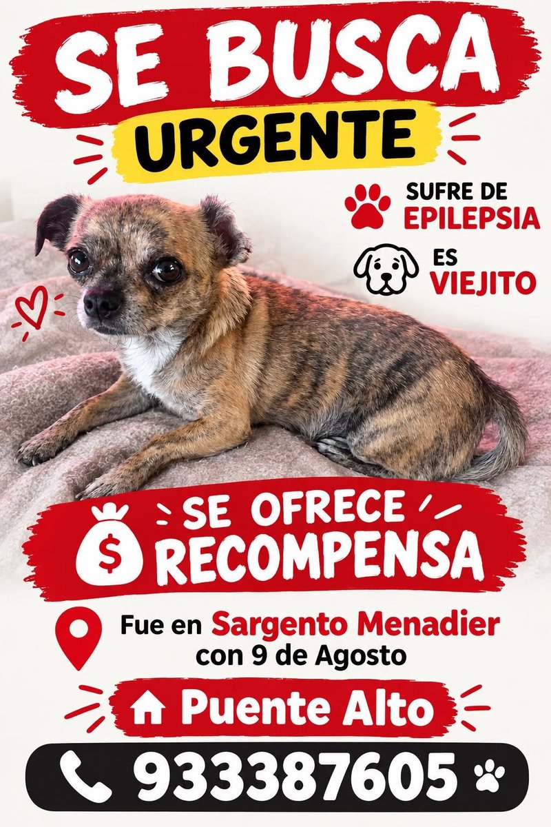 eltuitdemarsh's tweet photo. ¿Ayudamos difundiendo a este lindo viejito para que se reencuentre con su familia?
#PuenteAlto https://t.co/qWksHdqzCg