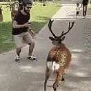 wulffconst2ljb's tweet photo. A very polite deer bowing for a cookie in Japan
#FeelGood #FortressName https://t.co/OkDI4htgjJ