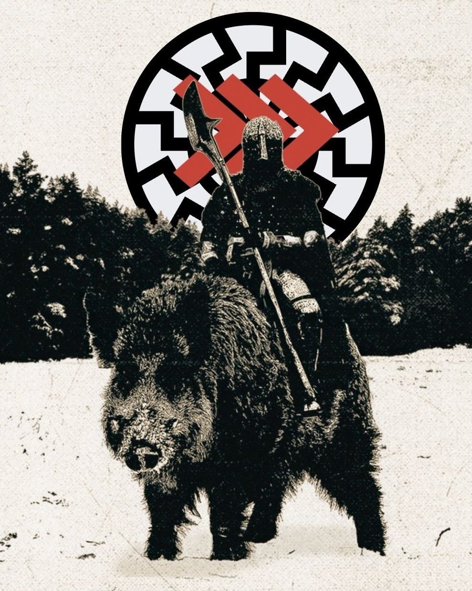 NSAWP_'s tweet photo. @SovereignMindsX Maga is gay. 

Join NSAWP >>> https://t.co/gimqLNnl7Q