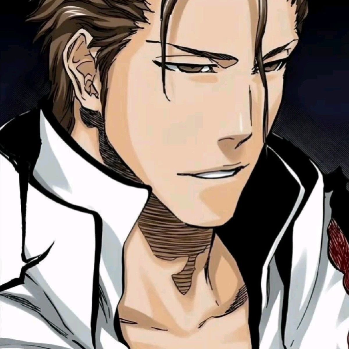 aiconoclastt's tweet photo. this user loves sosuke aizen https://t.co/LE4AC5vGT1