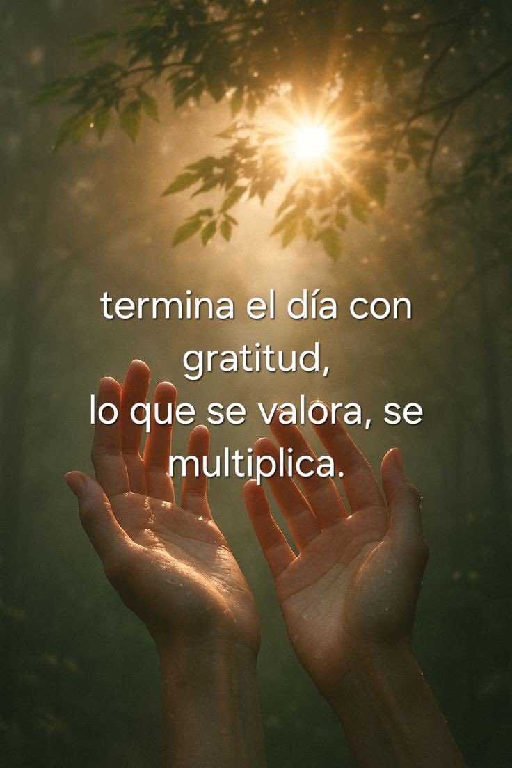 MendezVilla's tweet photo. Buenas noches a todos 🌻🌻
#EnGratitud #EscribiendoMisMetas #BuenasNochesATodos https://t.co/wiNrGYeQ0B