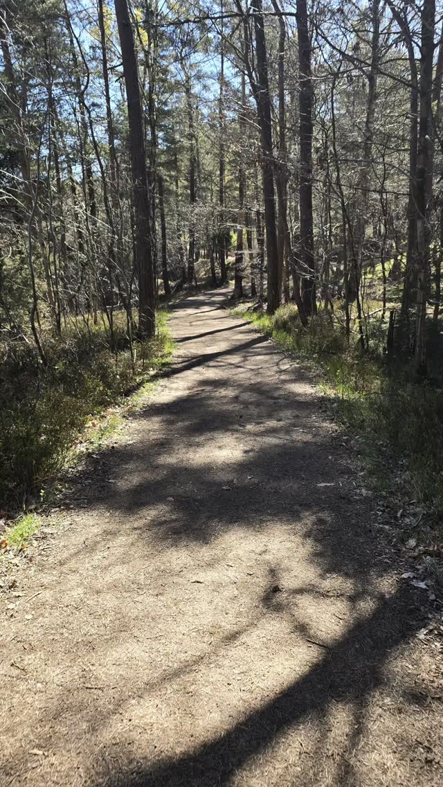 allancesa01's tweet photo. Söndagens fjorton, femton.... kilometer runt två sjöar. Det var en bra 3 timmars promenad. #Göteborg #promenad #natur #skog... kilkanaście kilometrów spaceru..... dookoła 2 jezior. Göteborg https://t.co/iHn1nWVO3A