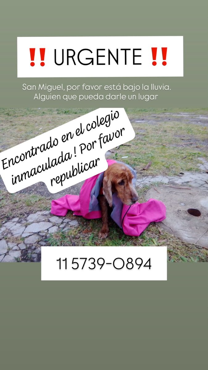patripeyrou's tweet photo. Difundimos 
Rt https://t.co/4v9DI4hS4J