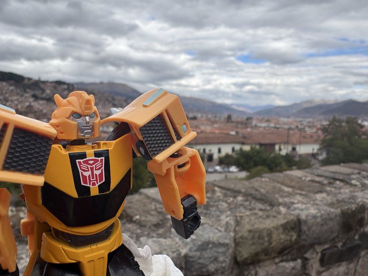 uorutasuu's tweet photo. More of bumblebee in Cusco https://t.co/iUXcEILrfs
