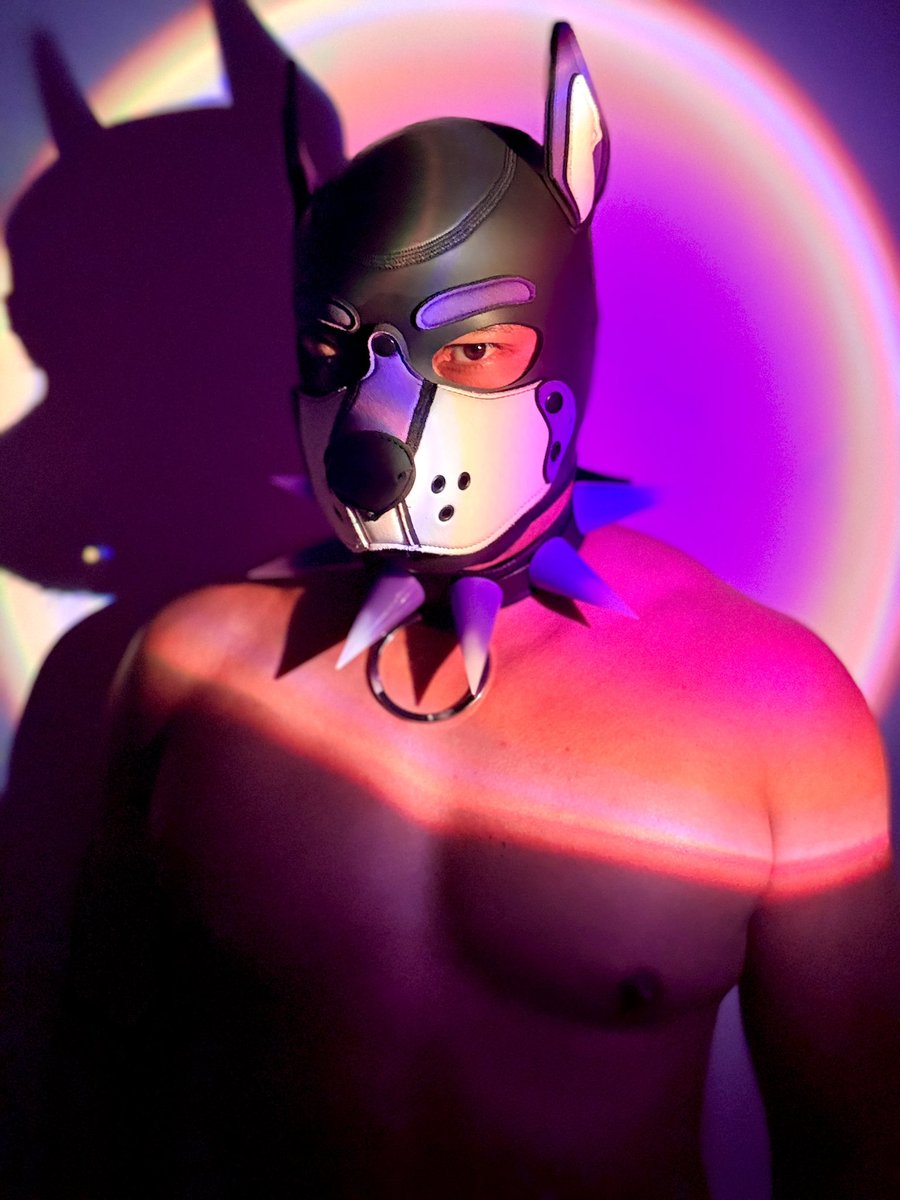 nut_a_pup's tweet photo. Pfp https://t.co/C2pUgRALk2