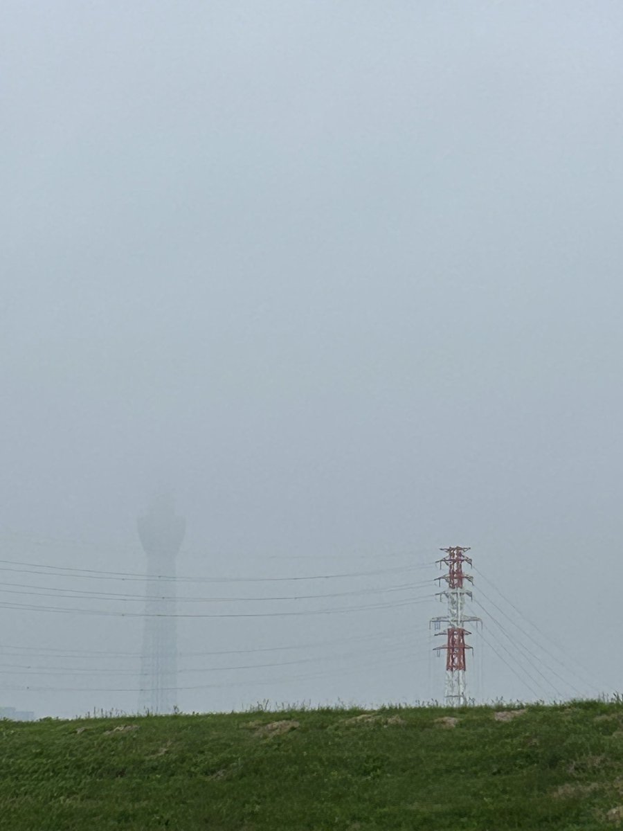 bawmama's tweet photo. おはようございます😃玄関出たら雨が降り出してみんなでカッパ隊に変身し直した朝☔️😱うっすらスカイツリー🐶今週も元気にいきましょう✌️ https://t.co/95YkDutSpa