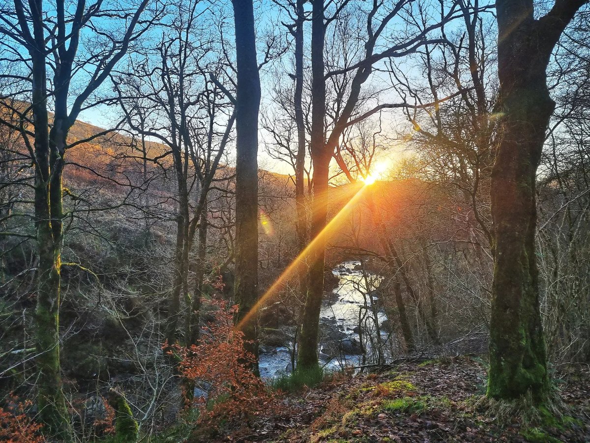 xodoxd45's tweet photo. 🌞🌲🏴󠁧󠁢󠁳󠁣󠁴󠁿.... #fallsoffalloch #escocia #scotlandshots #highlands #sunset #sunsets #river #sunsetlovers #visitscotland #scotland #visitscotland #lovescotland #hiking #hike #hiking #landscape #bestmountainartists #mountains #nature #scotlandexplore https://t.co/oFJTgdWAFU