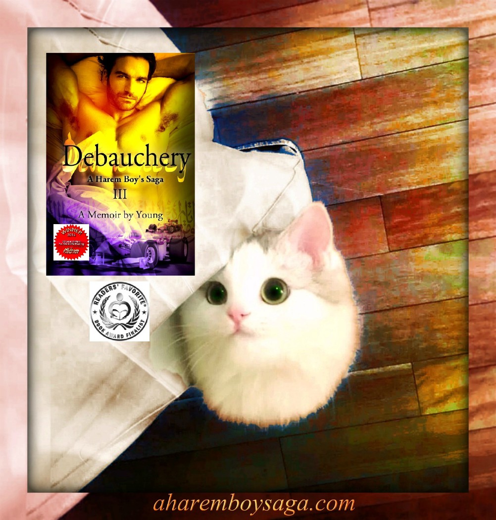 FoongFoo34491's tweet photo. DEBAUCHERY https://t.co/fUoFojBIwX is the 3rd book of a #lovestory between a young man and his chaperone while maneuvering through the mine-fields of a Middle Eastern harem in the mid-1960s.
#HistoricalLoveStory #AuthorUpROAR #Autobiography https://t.co/SmwgYp6pZF
