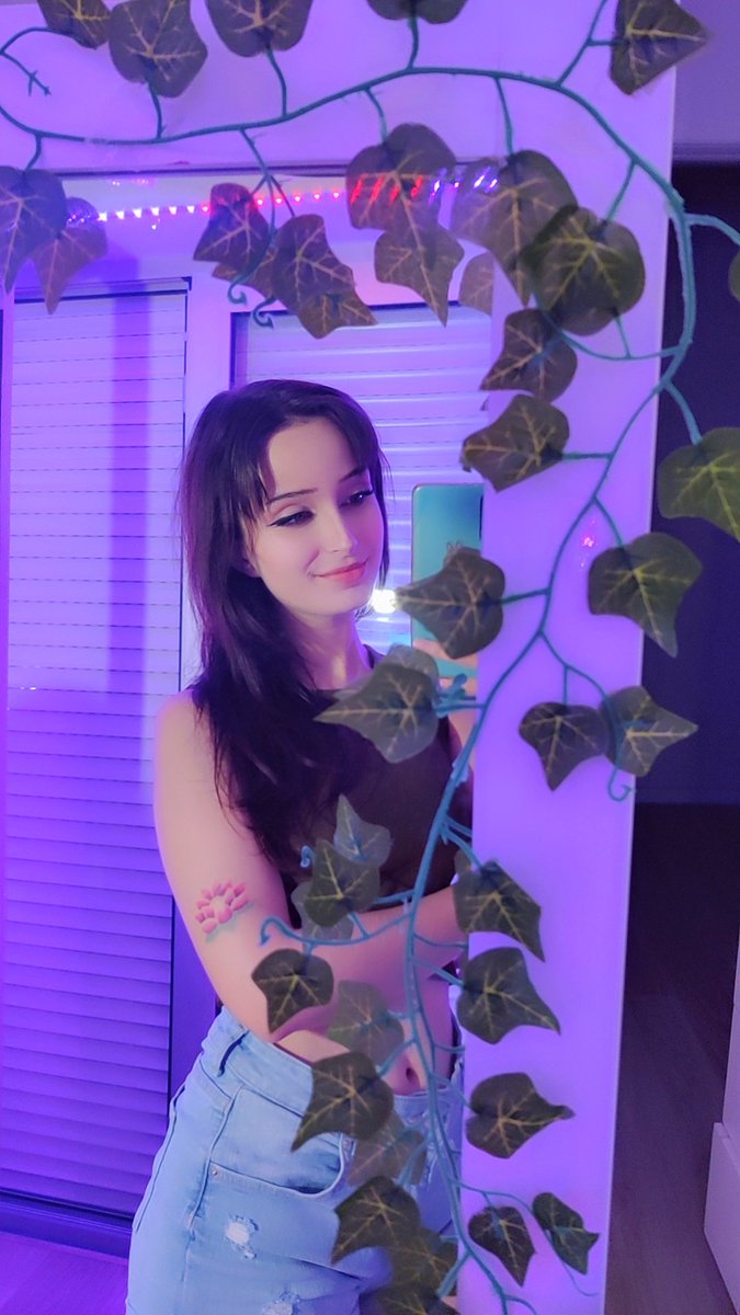 talesofsylvanis's tweet photo. b'day girl 🌸 https://t.co/9UlYhtCOz3