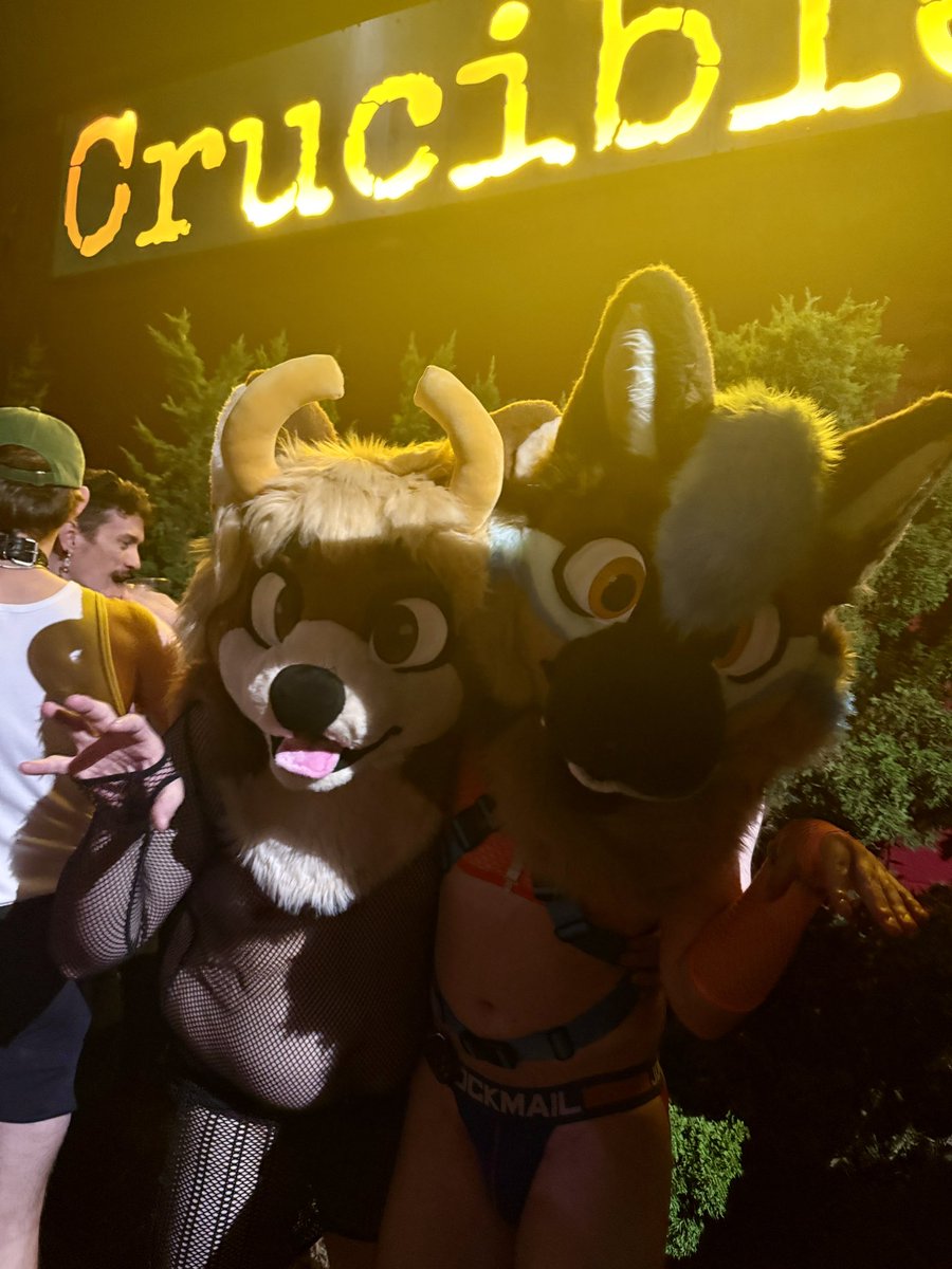 Jett_The_Shep's tweet photo. Such a blast at @madisonfang 

I have the best friends ever!

@Sissle_the_wolf @Buckaroniiii @snepstuffs https://t.co/rxuq2I7wPh