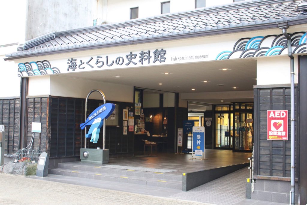 tomashibadaisen's tweet photo. 鳥取の雨の日は、水のない水族館へ。水がないのに、海の世界に迷い込んだような不思議な空間。魚のはく製は、日本一の700種類、4,000点。圧巻の魚たちがお出迎えしてくれるわん。鳥取県境港にある「海とくらしの史料館」へぜひ。 https://t.co/8qxh4C5Z13