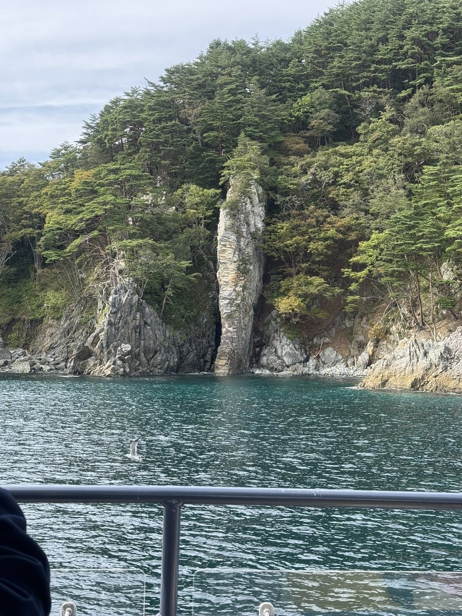 tommysister's tweet photo. 昨日ホテルに行く前に岩手観光しました。
震災の被害があった宮古市へ。
浄土ヶ浜で遊覧船🚢に乗って海猫に餌やり🕊️
東京にいると絶対に味わうことのできない、ゆっくりした時間が最高だったな🌊 https://t.co/datobw6FNb