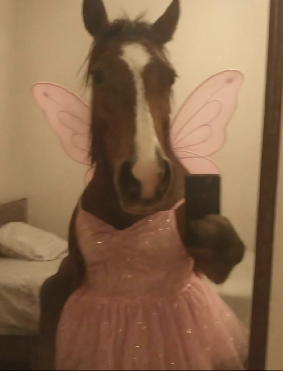 _ivigomez_'s tweet photo. Sin dinero, sin disfraz y tampoco el cuerpo para Halloween… https://t.co/cr53w9eObP