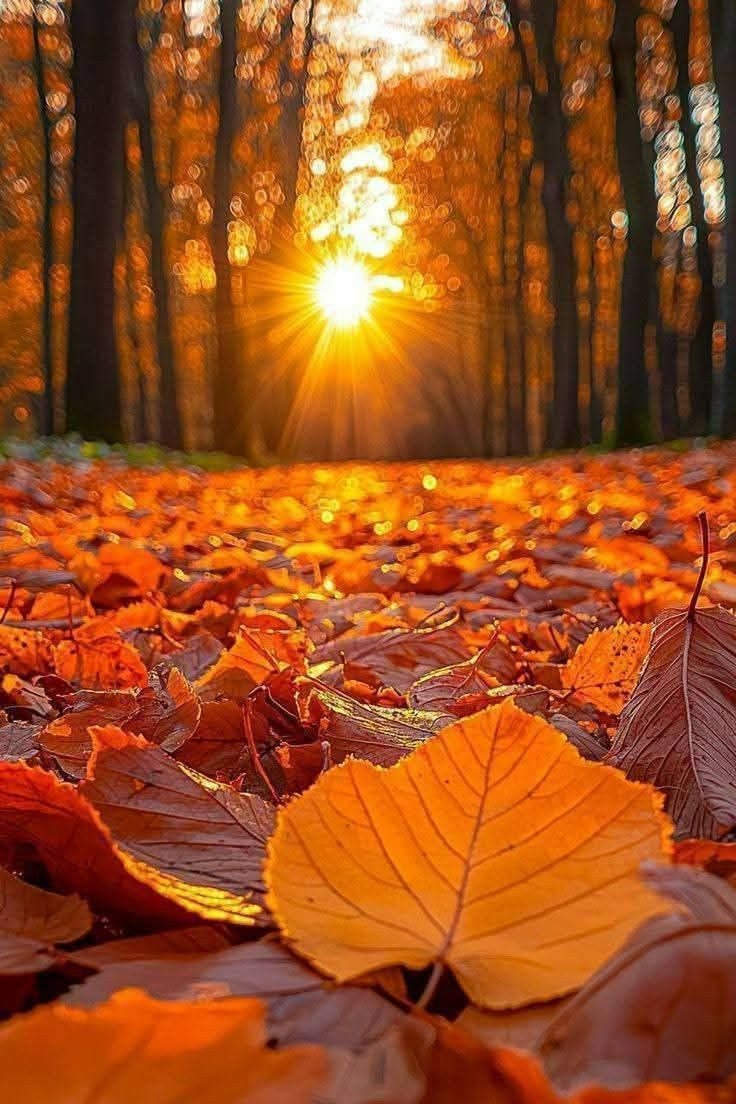 embullsky's tweet photo. Good Morning! https://t.co/W9OzzX7tdo