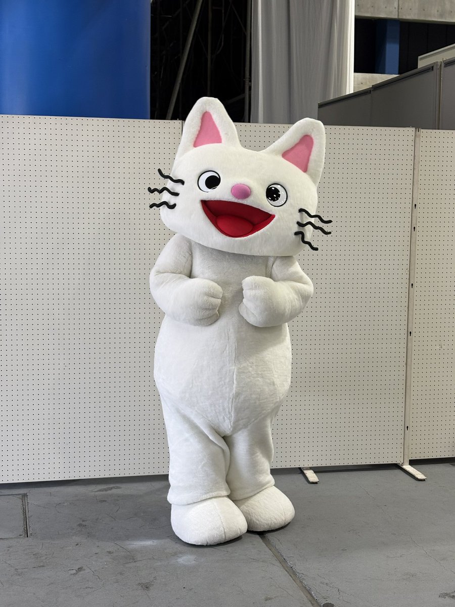 aachan225's tweet photo. おはようございます😊🌼

きょうはミセスダイナマイトMonday
生放送です🤗📻

午前11時〜午後2時まで
生放送でお送りします( ˊᵕˋ* )
全国どこからでもお聴きいただけます♪

今週のテーマは猫です🐱💓
テーマ以外でも大丈夫です♪

わたしは週末のイベントで
白いこねこの
ノンタンに会えました🐱🤍 https://t.co/AU8AwmMXHK