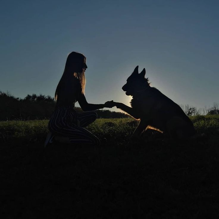 CynthiaMarrc5e's tweet photo. Hotastuck fo
my dog goes deeper inside me
https://t.co/klBKtep7lG

#zoophillia #zoosarevalid #beastiality #dogknot #zooprideisvalid #zoophile #hypnotistzoophilesarevalid #zoophiletwt
#zootwt #zoopositivity
#grope #Pardi #jjk242spoilers #uk #germany https://t.co/GG20G3UrFw
