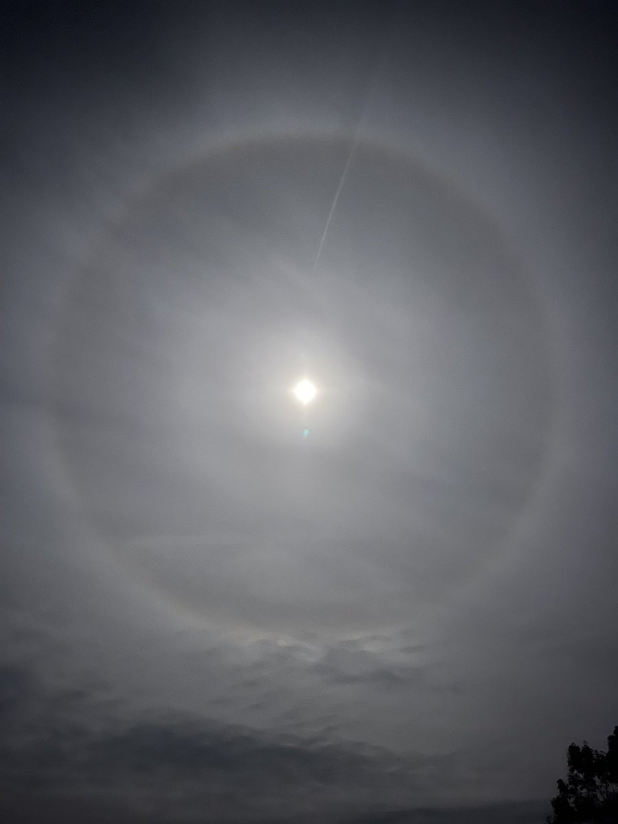 AngelikaHTCG's tweet photo. What a #halo ⊠the still nearly full #Moon ð #SweetDreams âšð«ð€ #SundayMagicHour @StormHour @bbcsoutheast @BBCWthrWatchers https://t.co/H1tE51H8Tn