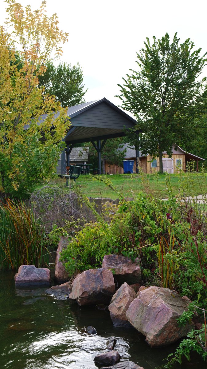inTECHsity's tweet photo. Beautiful nature before fall fully set in. Rice Lake, WI https://t.co/rlwnS8608k
