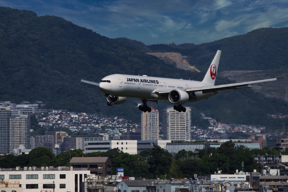 ini0016's tweet photo. #JALみんなの1枚
伊丹空港　逆ランの日に777-300ERが来てくれた。 https://t.co/wQzJPj5Yxt
