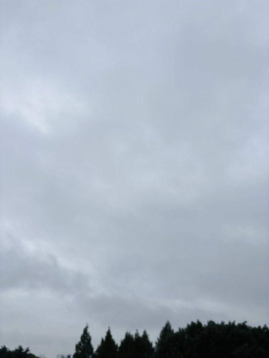 Megumi_Ogata's tweet photo. Good Morning!
It's rainy@TOKYO.

雨降って、地固まる。
たまにさす太陽の光に、救われます。
長雨が続いていますが、また会えるその日まで、頑張って生きてまいりましょう。

【今週〜】始まります！
#TANKCHAIR
#桃源暗鬼
今期はもう一本ありますよ。でも出るまで内緒なんだよ（笑）。お楽しみに☀️ https://t.co/jsQnXKQxXW