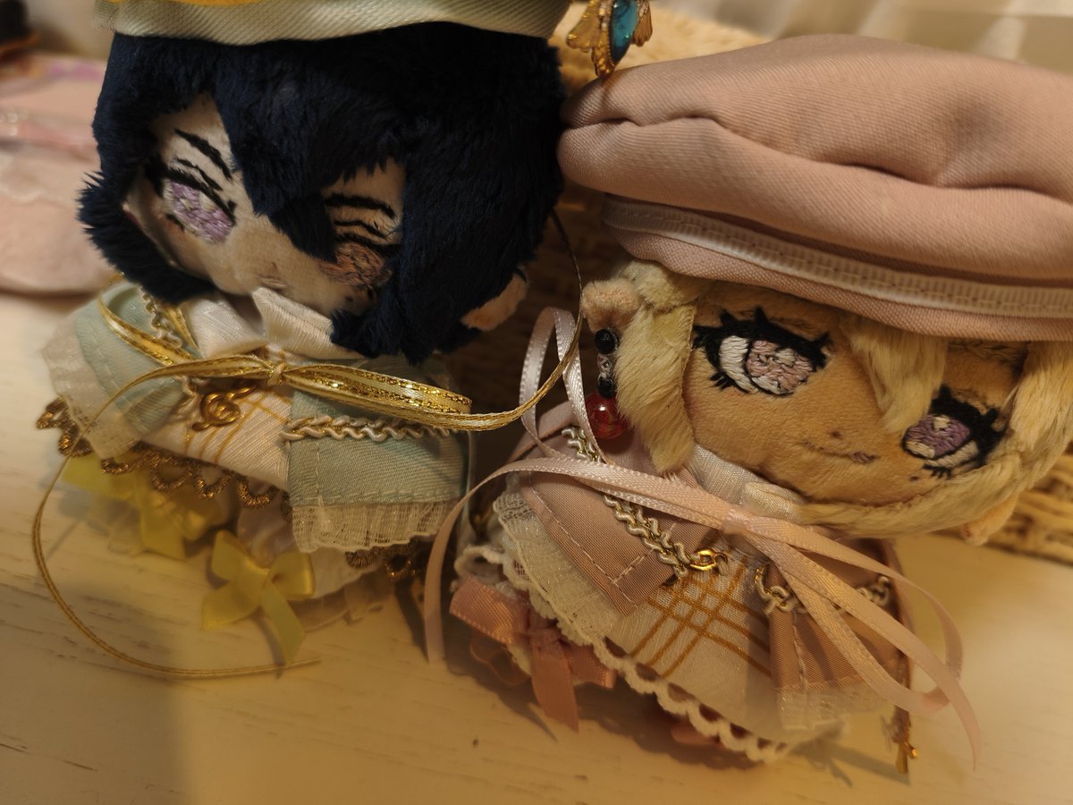 drvis1007's tweet photo. 相方ちゃまからじきぬいぬいをまたもらっちゃった！？？！
かわいいかわいい🥰🥰🥰
相方ぬいとばいばい下時は寂しかったのう😢😢 https://t.co/HKxGy0Kjxs