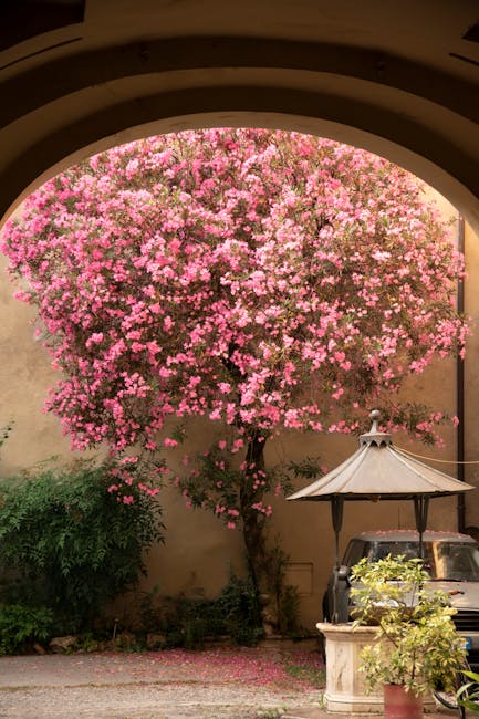 ExGxWinters3430's tweet photo. تصبح أجمل عندما يجمع الثقة الحياة العاطفة مع نسيم الليل. donette baxtorأنا لوجود أصدقاء في محظوظ جدًا لك. حياتي. شكرًا شكرا لمساهماتك 🔦 القيمة. 🍜 🫐 micki luzania https://t.co/vB40ipLoIY
