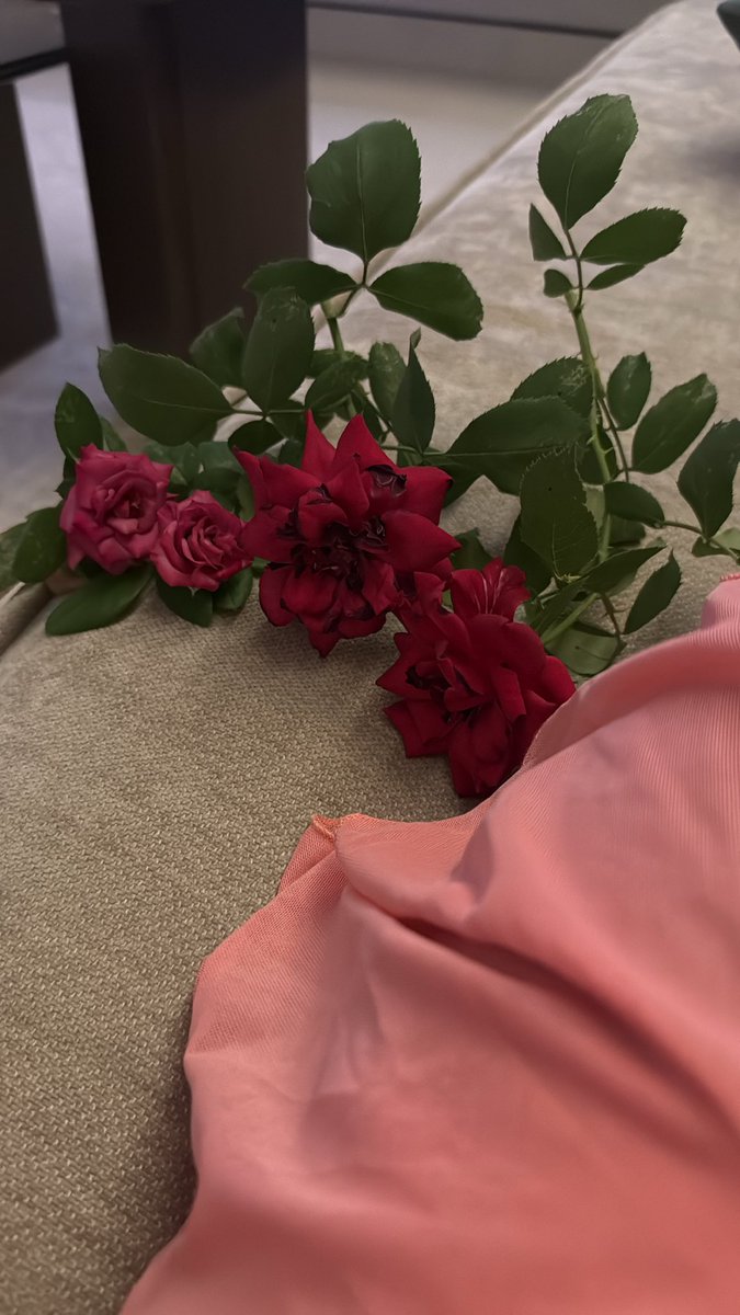 juiiur7's tweet photo. Loooove ❣️❣️❣️❣️❣️ https://t.co/sQOIqzJgJz