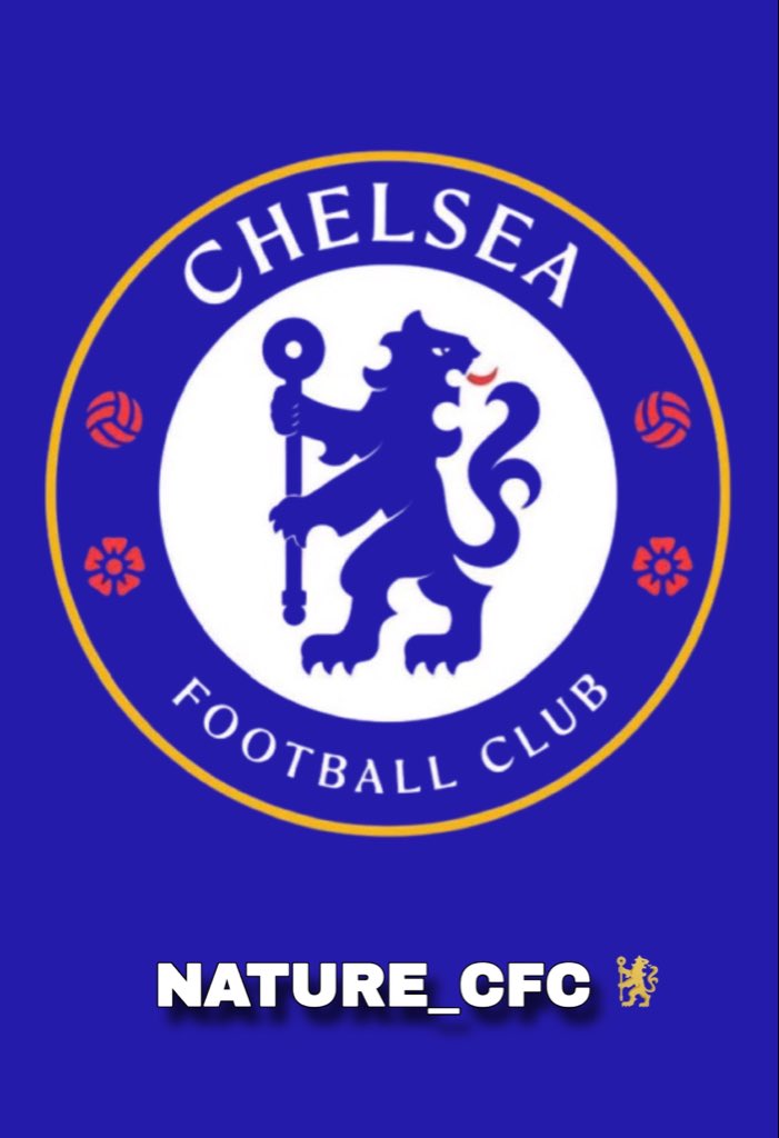 Natureryme1's tweet photo. 🚨🇵🇹 | BREAKING: According to reports from Italian magazine Chelsea are currently showing interest in 21 year old Portuguese and Monza talented center forward 𝐆𝐔𝐒𝐓𝐀𝐕𝐎 𝐕𝐀𝐑𝐄𝐋𝐀.

The striker who has been in decent form has already scored 6 goals in 6 games for Monza this season capping it with an incredible brace against Sassuolo in the Serie A last weekend. 

Top clubs across Europe are already circling around the player with his form drawing attention from top European teams also Monitoring the Portuguese forward.

[Media Matteo]