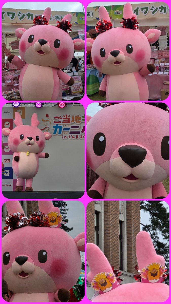 BlueTeddylovely's tweet photo. 昨日のイワシカちゃん
かわいいいいいいいい🩷
#ご当地キャラカーニバル
#イワシカちゃん https://t.co/JBM0RYoWXM