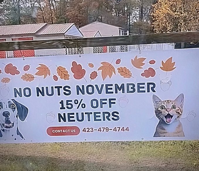 None