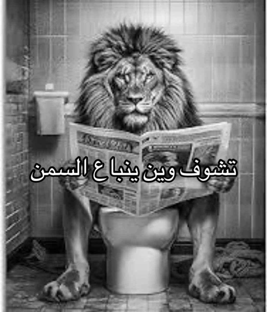 gns9fp's tweet photo. https://t.co/K1vIPPGy5t