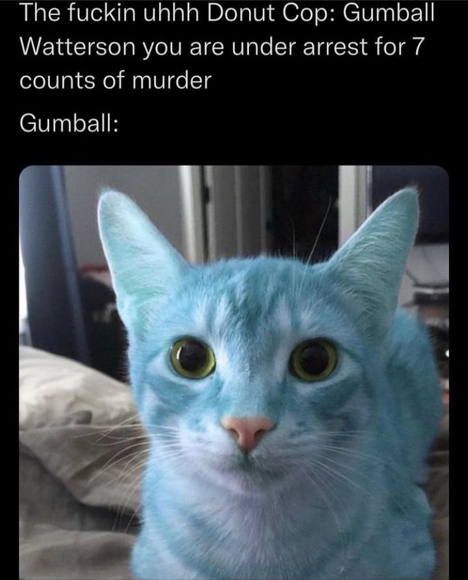 PunchingCat's tweet photo. https://t.co/jf5hau9PqC