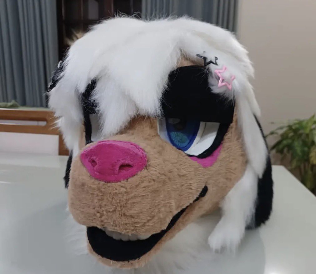Fr3nzydKl0wn's tweet photo. Looking for around 3k USD!!! i might consider the best offers, not sure if i’am truly going to sell him tho, comes with 115 Artwork, 12 Refs(separate from the artwork) and a fursuit which i can ship!!
I can so make payment plans if needed!!! https://t.co/4YG6Hun7pD