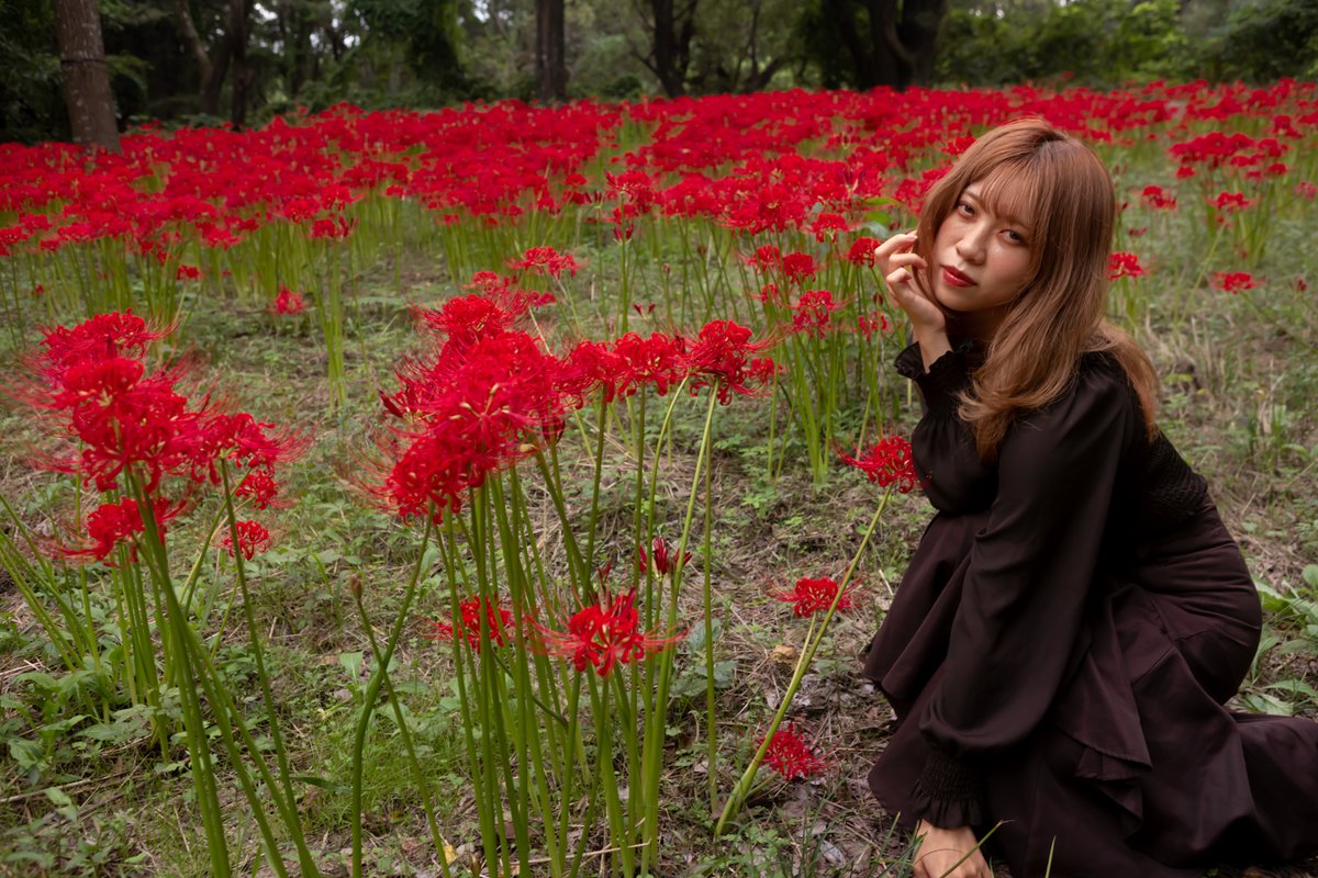 tainophotoroom's tweet photo. なつき さん「Autumn has arrived ～蚊に喰いつかれた日～」⑥

#なつき 被写体垢 (@ntk_23official)
#リクエスト撮影
#CANON #単焦点が好き
#ポートレート #portrait
#ポートレート好きな人と繋がりたい
#名古屋ポートレート
#ファインダー越しの私の世界 https://t.co/dUcccpKfec