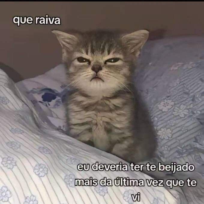 acervobichinho's tweet photo. https://t.co/lwRvIr9KnI