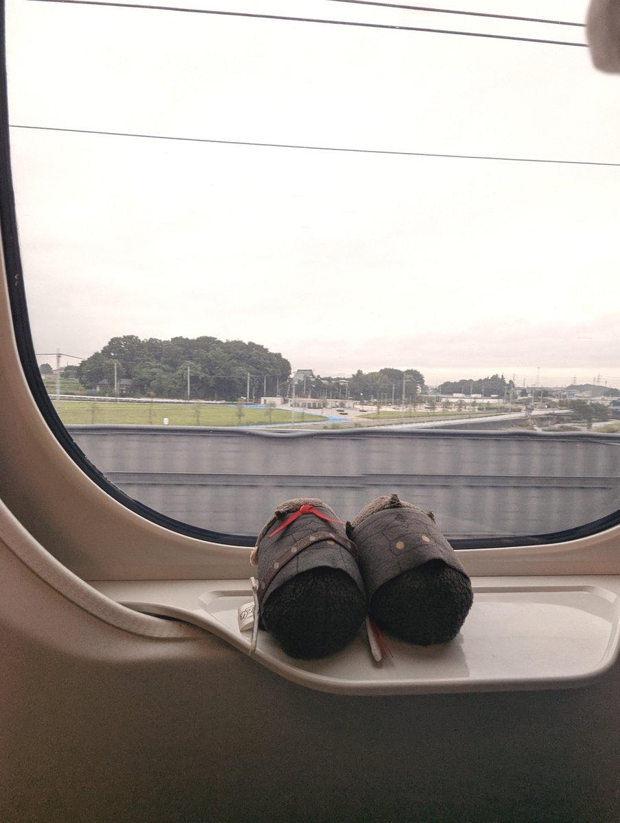 swordlily26's tweet photo. 🟠🚄 https://t.co/UtRrhBZ7xg