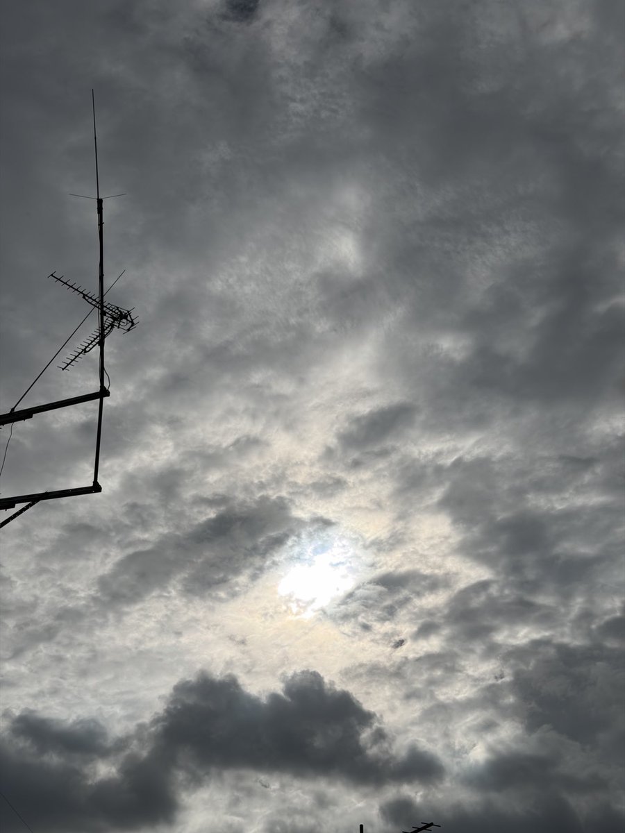 oceanmarine00's tweet photo. おはようございます🌞
今日は1日降ったり止んだりの雨予報☔
湿度が高く蒸し暑いです🥵
本日も1日頑張りましょう💪🏾
#イマソラ
#泉大津マリーナ
#パソコン記念
#ニワトリの日 https://t.co/xyJGaxyU49