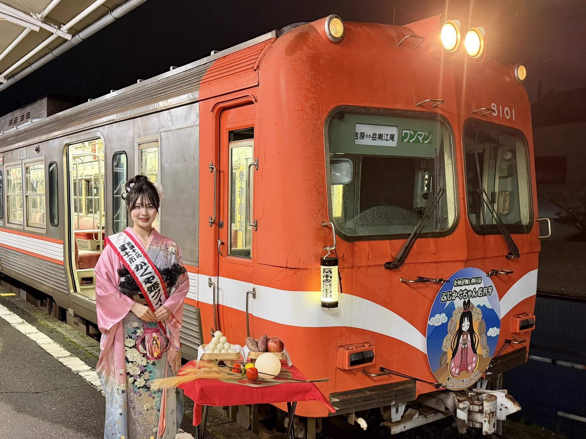 活動歴および当時の関連ビジュアル記録