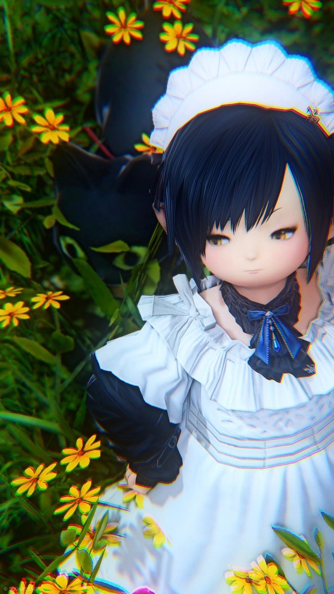 Rin_Chatnoir's tweet photo. 🌼🐈‍⬛

#FF14 #おはララ https://t.co/u4xjXn5rUh
