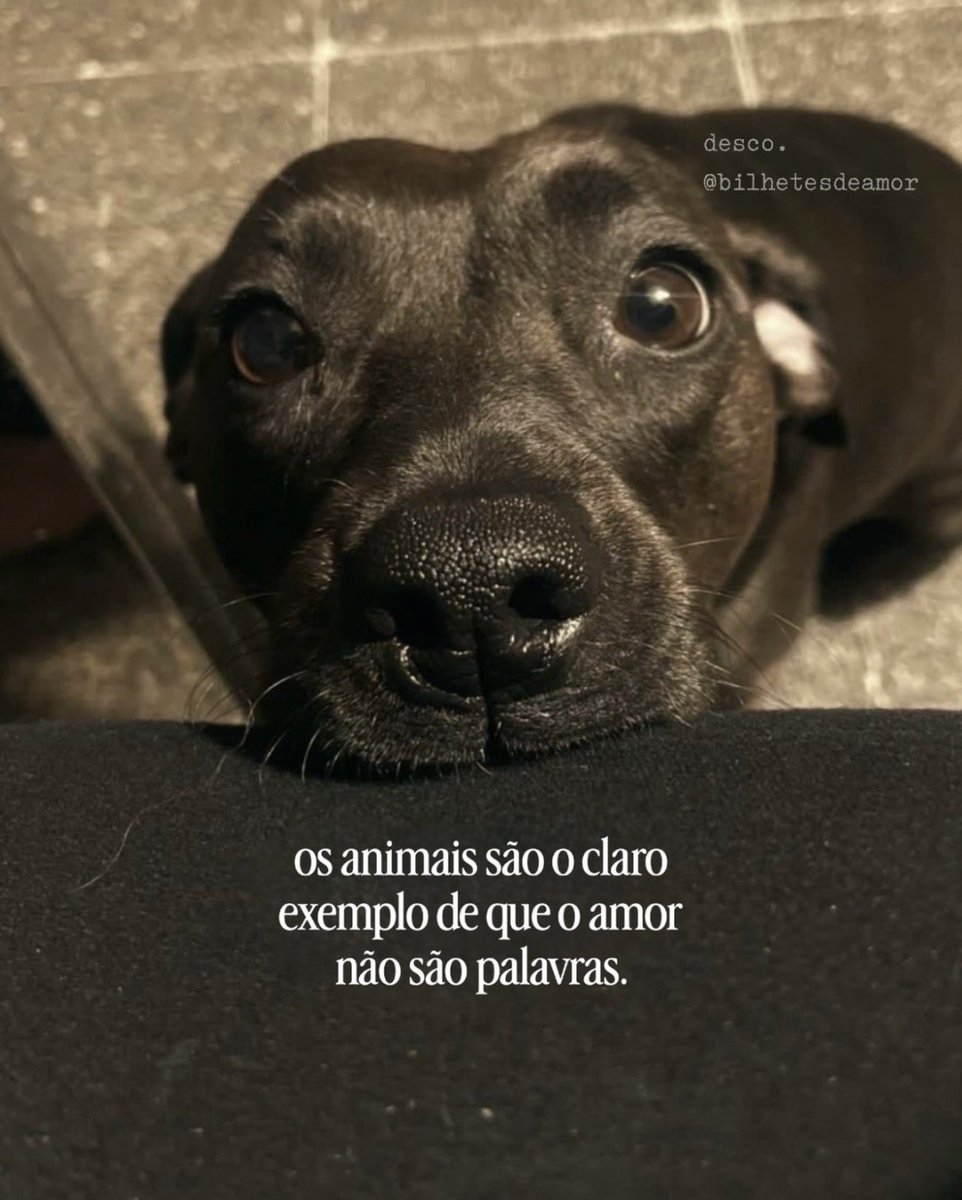reescrevi_frase's tweet photo. https://t.co/J3DhFJzErm