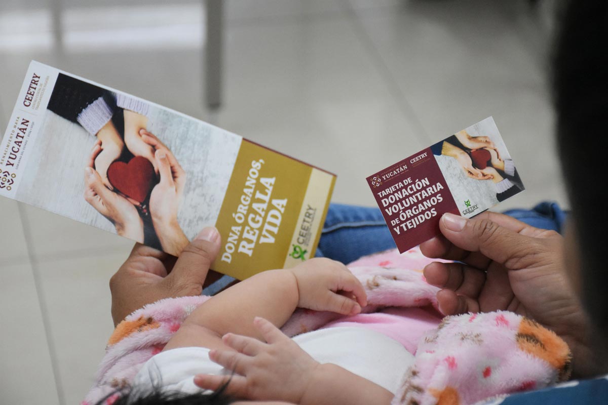 RVozdeMujer's tweet photo. Yucatán publica en revistas científicas los resultados de sus programas de donación y trasplantes  https://t.co/I10ReW0W4M https://t.co/fXDx81i4Ux