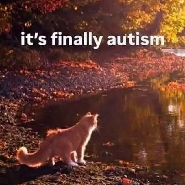 MemesToSave's tweet photo. https://t.co/sBbIvxMyJR